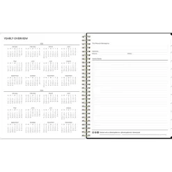 Blue Sky 2025 Lolani 8