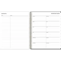 Blue Sky 2025 Lolani 8