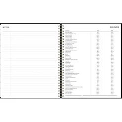 Blue Sky 2025 Lolani 8