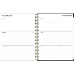 Blue Sky 2025 Lolani 8.5" x 11" Weekly & Monthly Planner, Plastic Cover, Green/Gray (147968) Discount
