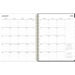 Blue Sky 2025 Lolani 8.5