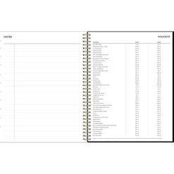 Blue Sky 2025 Lolani 8.5