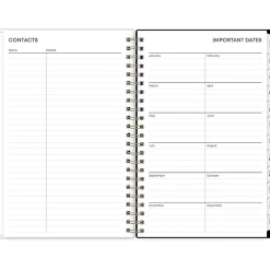 Blue Sky 2025 Lolani 5