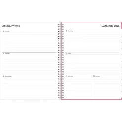 Blue Sky 2025 Lucidity 8.5" x 11" Weekly & Monthly Planner, Plastic Cover, Pink/Blue (150785) Hot