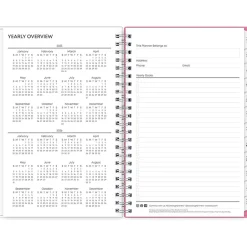 Blue Sky 2025 Lucidity 5