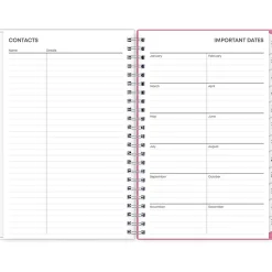 Blue Sky 2025 Lucidity 5