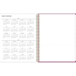 Blue Sky 2024-2025 Mahalo 8.5