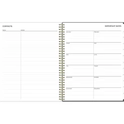 Blue Sky 2025 Makeera 8.5