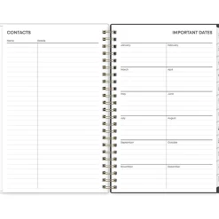 Blue Sky 2025 Makeera 5