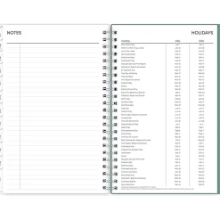 Blue Sky 2024-2025 Maquilla 5
