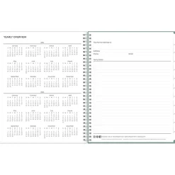 Blue Sky 2024-2025 Maquilla 8.5