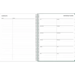 Blue Sky 2024-2025 Maquilla 8.5