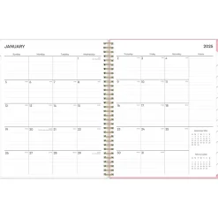 Blue Sky 2025 Mimi Pink 8.5