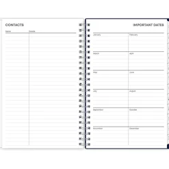 Blue Sky 2025 Moment 5