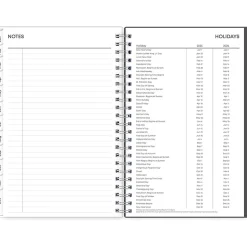 Blue Sky 2025 Montauk 5