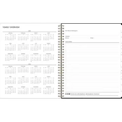 Blue Sky 2025 Nevaeh 8