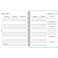 Blue Sky 2024-2025 Ombre Map 7" x 9" Academic Weekly & Monthly Student Planner, Plastic Cover, Multicolor (145019) Best