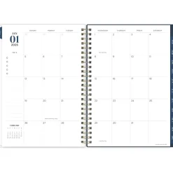 Blue Sky 2025 Ombre Sky 5.88