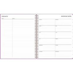 Blue Sky 2025 Orchid 8