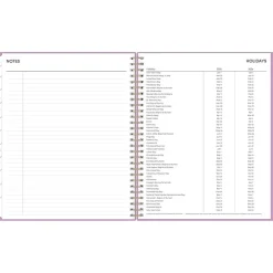 Blue Sky 2025 Orchid 8