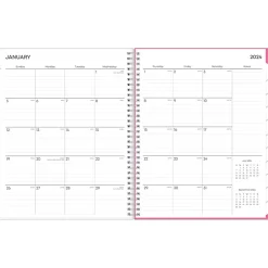 Blue Sky 2025 Orchid 8.5