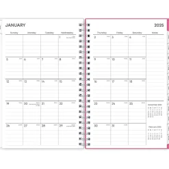 Blue Sky 2025 Orchid 5