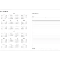 Blue Sky 2025 Paradise Again 8.5