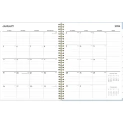 Blue Sky 2025 Pooch Party 8.5