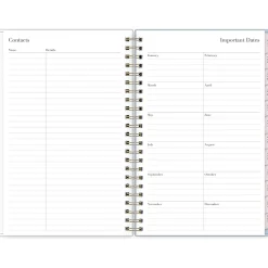 Blue Sky 2025 Rachel Parcell Parcella 5