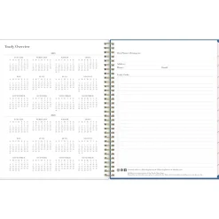 Blue Sky 2025 Rachel Parcell Tressa 8.5