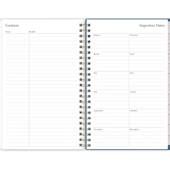 Blue Sky 2025 Rachel Parcell Tressa 5