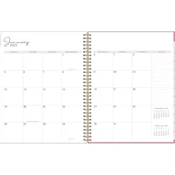 Blue Sky 2025 Rachel Parcell Rose 8.5