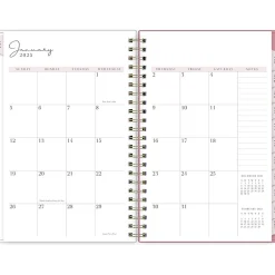 Blue Sky 2025 Rachel Parcell Rose 5