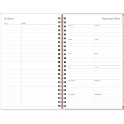 Blue Sky 2025 Rachel Parcell Rose 5