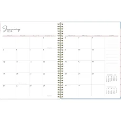 Blue Sky 2025 Rachel Parcell Parcella 8.5