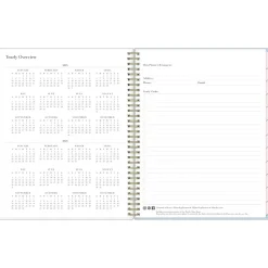 Blue Sky 2025 Rachel Parcell Parcella 8.5