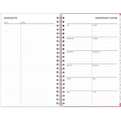 Blue Sky 2024-2025 Roosevelt 5