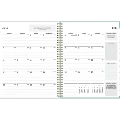 Blue Sky 2024-2025 Sandra Check 8.5