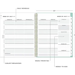 Blue Sky 2024-2025 Sandra Check 8.5