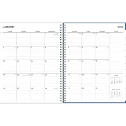 Blue Sky 2025 Savoy Cool 8.5