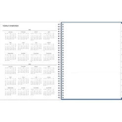 Blue Sky 2025 Savoy Cool 8.5