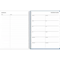 Blue Sky 2025 Savoy Cool 8.5