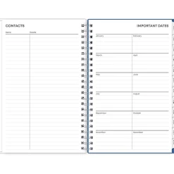 Blue Sky 2025 Savoy Cool 5