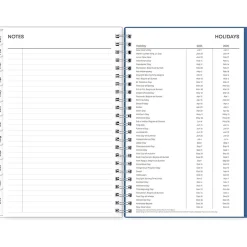 Blue Sky 2025 Savoy Cool 5