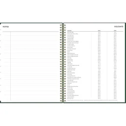 Blue Sky 2024-2025 Shining Sky 8.5