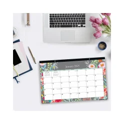 Blue Sky 2025 Sophie 17