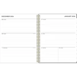 Blue Sky 2025 Sophie 8.5" x 11" Weekly & Monthly Planner, Plastic Cover, Multicolor (140087-25)