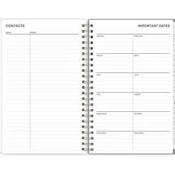 Blue Sky 2025 Sophie 5