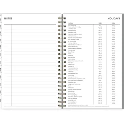 Blue Sky 2025 Sophie 5