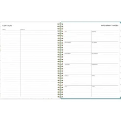 Blue Sky 2024-2025 Splatter Dot Jade 8.5